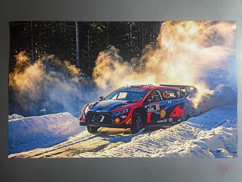 2024 hyundai world rally - world, car