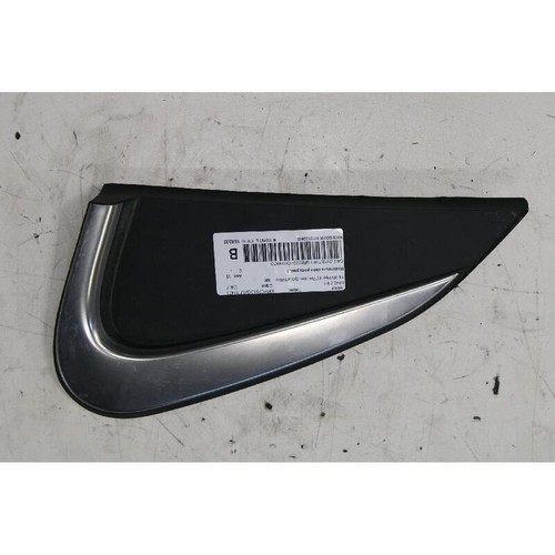 Rear door car - molding, lh